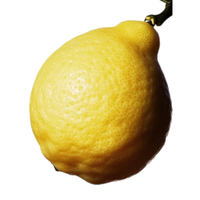 9.png