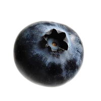 6.png