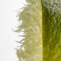 28.png