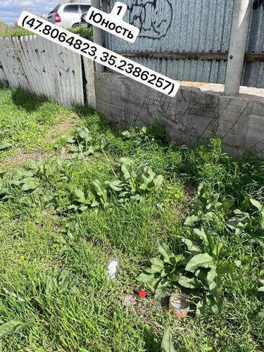 photo.jpg