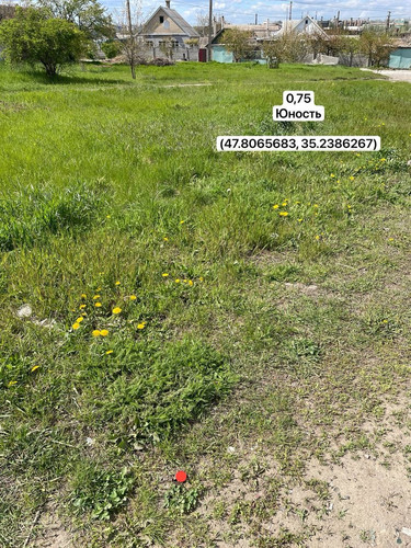photo.jpg