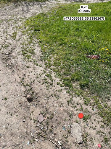 photo.jpg