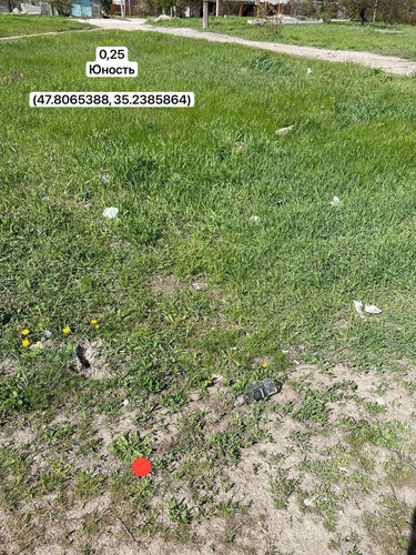 photo.jpg