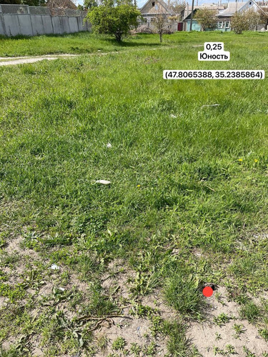 photo.jpg