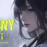 204455nn8g38wwn044v8os