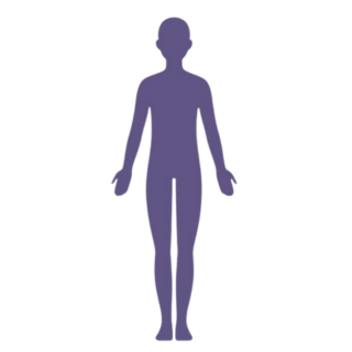 figura (1).png