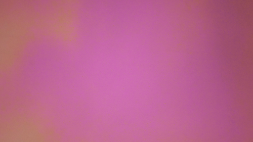 temp.png