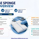 httpswww.24lifesciences.com (25)