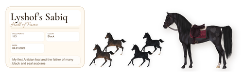 MyHorsez Banner.png