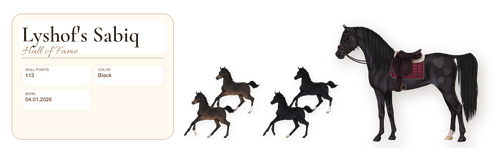 MyHorsez Banner.png