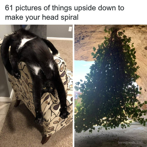 image 1 (32).jpg