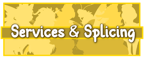 advice and resources services.png