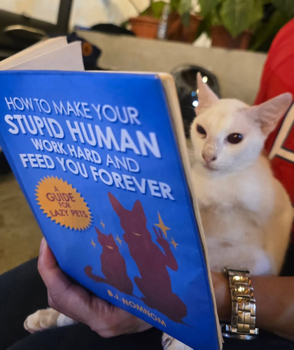 image 2026 04 27T130156.215.png