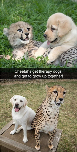 image 2026 04 27T130139.043.png