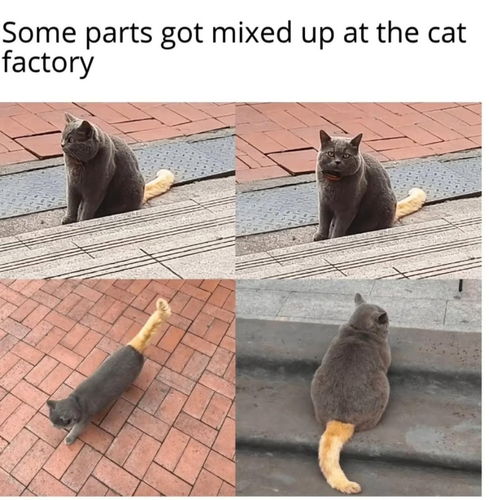 image 2026 04 27T130133.251.png