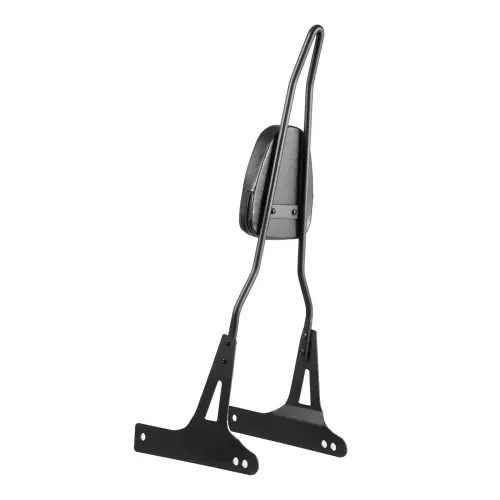 us MTCCKKBJDKBJF2LB4V0 original img v2 motorcycle sissy bar m100 11.webp