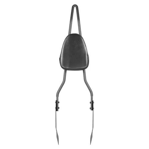 us MTCCKKBJDKBJF2LB4V0 original img v2 motorcycle sissy bar m100 10.webp