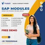 Build a Future Ready SAP Career with Visualpath Now