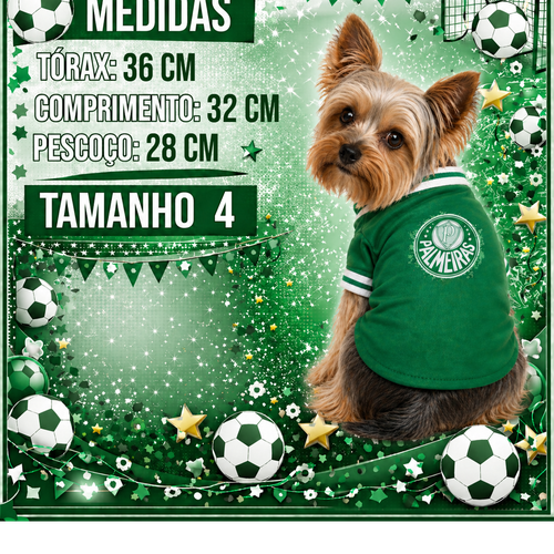 MEDIDAS TAM 4 PALMEIRAS.png