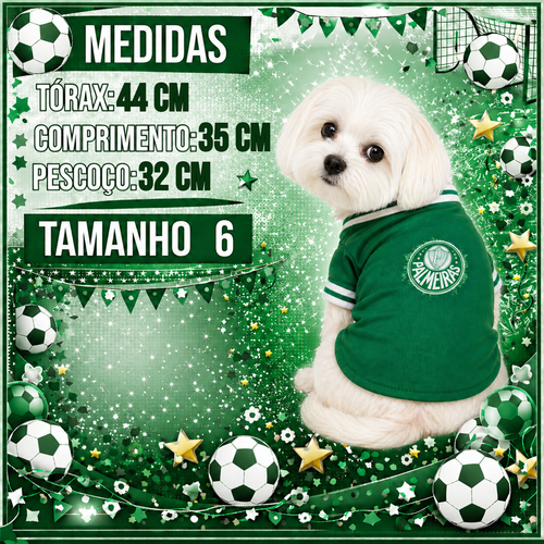 MEDIDAS TAM 6 PALMEIRAS.png