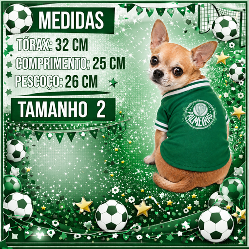 MEDIDAS TAM 2 PALMEIRAS.png