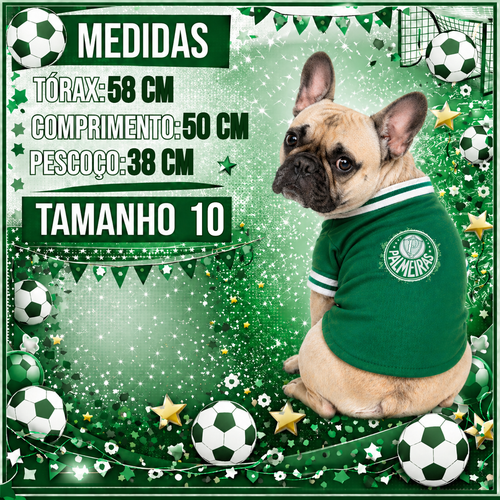 MEDIDAS TAM 10 PALMEIRAS.png