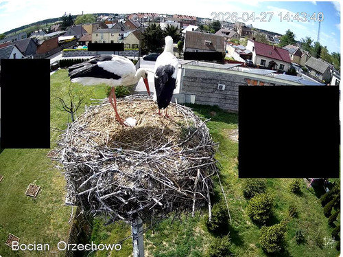MWSnap356.jpg