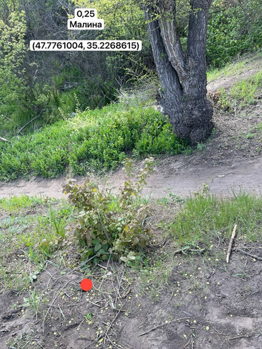 photo.jpg