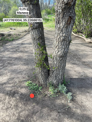 photo.jpg