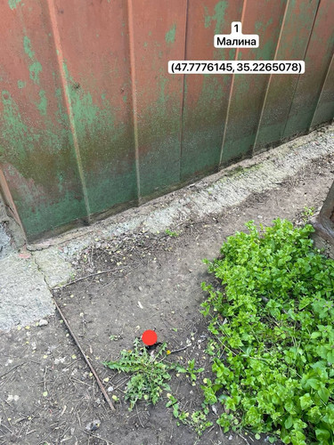 photo.jpg