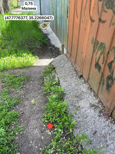 photo.jpg