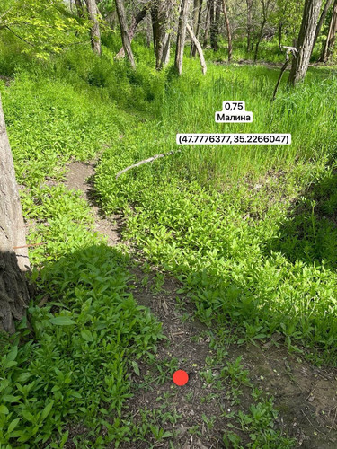 photo.jpg
