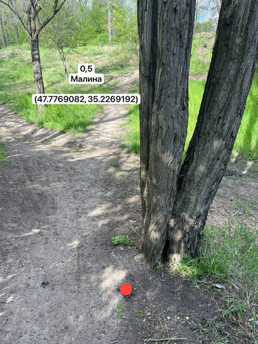 photo.jpg