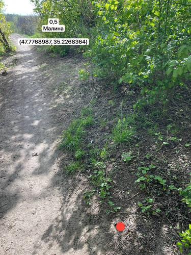 photo.jpg