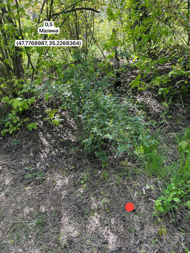 photo.jpg