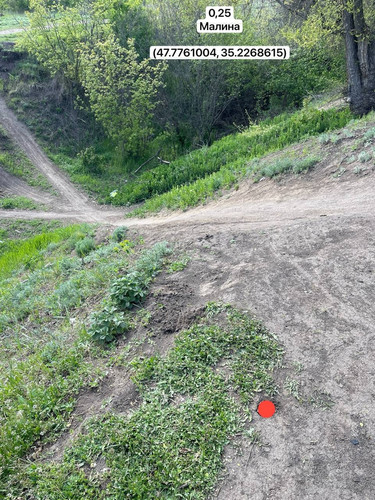 photo.jpg