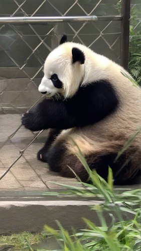 74f113334e55.png