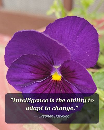 today quoted.jpg