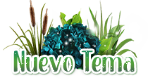 forest NuevoTema.png