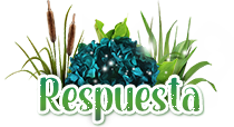 forest Respuesta.png