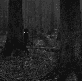 9bfd687d937f8f625620d0e1349716df.gif