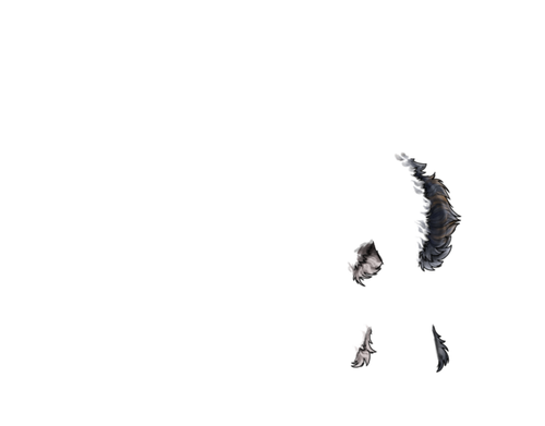 Pretty lady butt fluffs.png