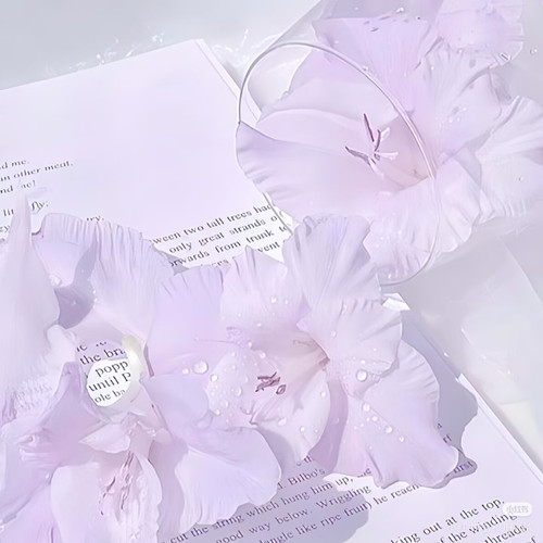 Camera 1040g3k031ou7vkelhq005p6kfeeg8uf1kkq90co.jpg