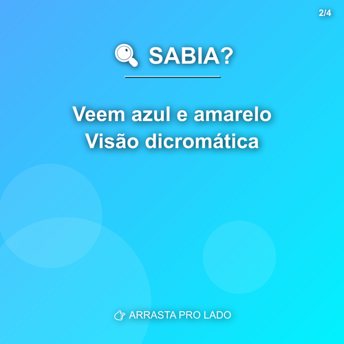 carousel 1777309208613 slide2.png