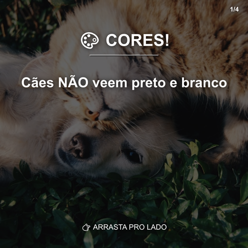 carousel 1777309208098 slide1.png