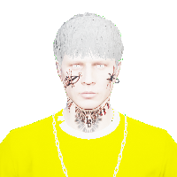 54d385cf7561.png