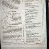 temp.png