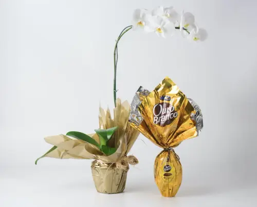 c9a9e106f549.webp