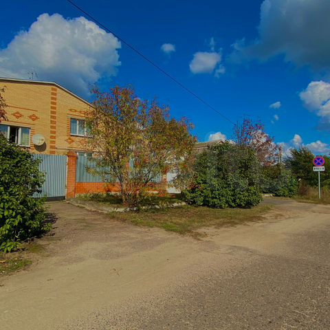 50d11b5ebcd3.jpg