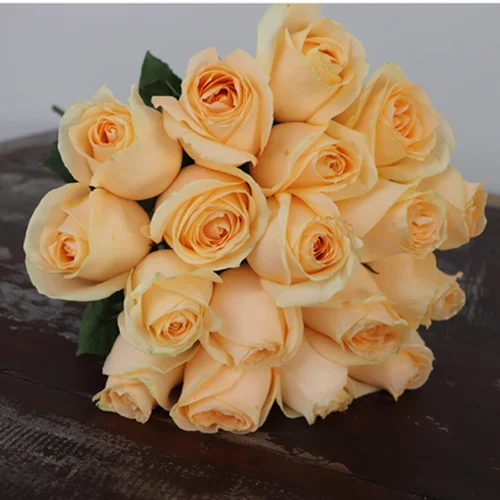 54b464412fe3.webp